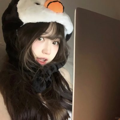 特雷萨旗手